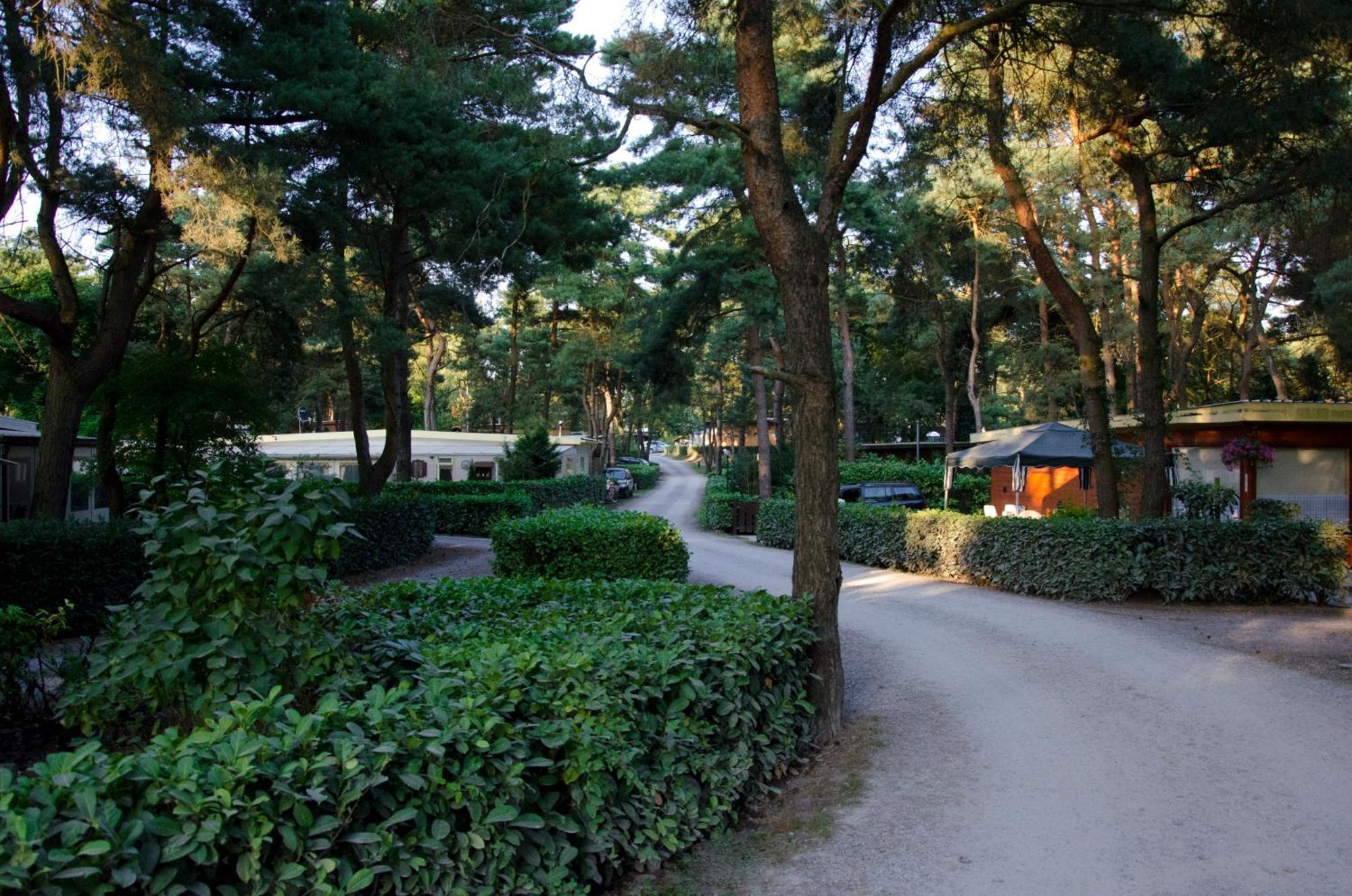 Safaritent At Camping Gt Keiheuvel Balen Εξωτερικό φωτογραφία