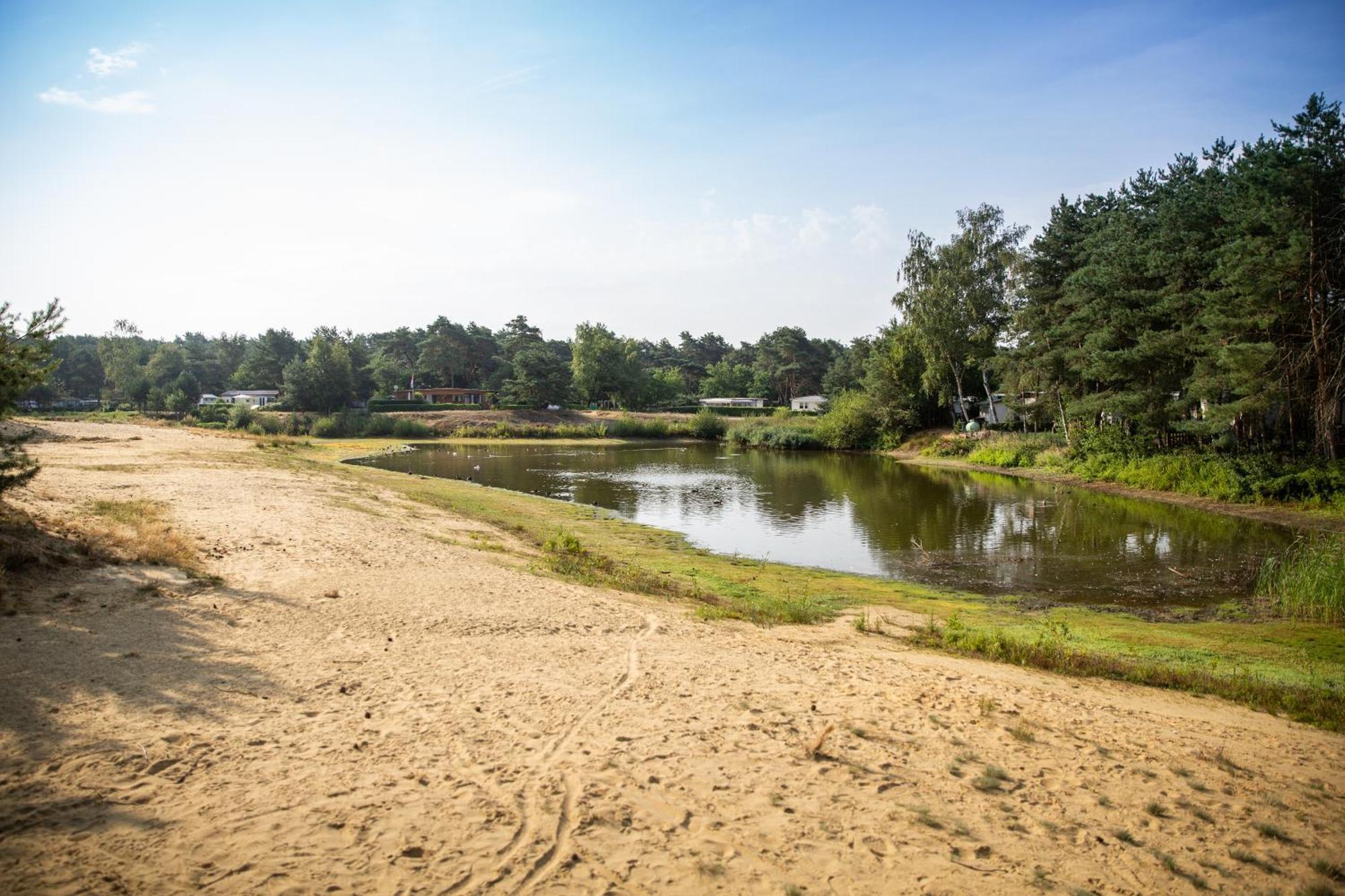 Safaritent At Camping Gt Keiheuvel Balen Εξωτερικό φωτογραφία